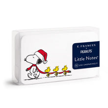 Load image into Gallery viewer, E Frances X Peanuts Snoopy &amp; Woodstock Long Scarf Little Notes