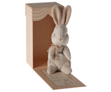 Load image into Gallery viewer, Plush rabbit toy in a wooden box on a white background