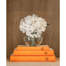 Load image into Gallery viewer, Orange H Stack Of Books | Shelf Decor | Set Of 3