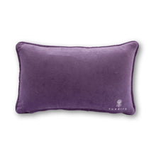 Load image into Gallery viewer, Furbish Studio Fun In Dysfunctional Needlepoint Pillow