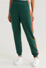 Load image into Gallery viewer, Aviator Nation 5 Stripe Sweatpants | Forest, Purple, &amp; Orange