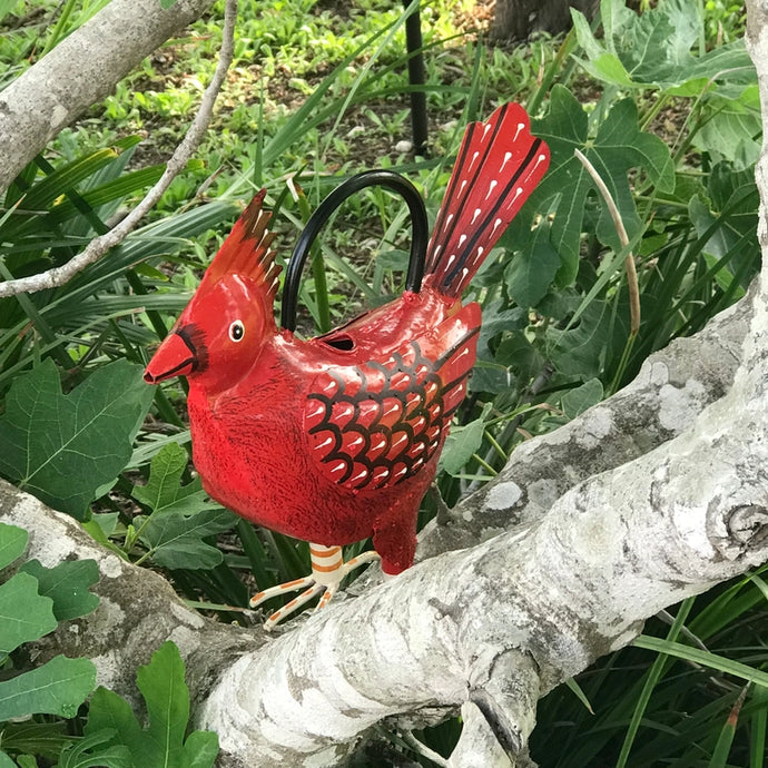 Garden Animal Watering Can | Assortment