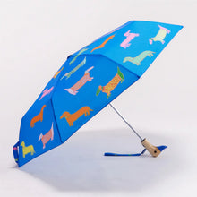 Load image into Gallery viewer, Original Duckhead Eco-Friendly Umbrellas | Assortment