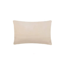 Load image into Gallery viewer, Grandparents Are Better Than Santa Needlepoint Pillow