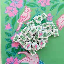 Load image into Gallery viewer, Merry Mahjong Co. Southern Springs Mahjong Tiles WITH Bag