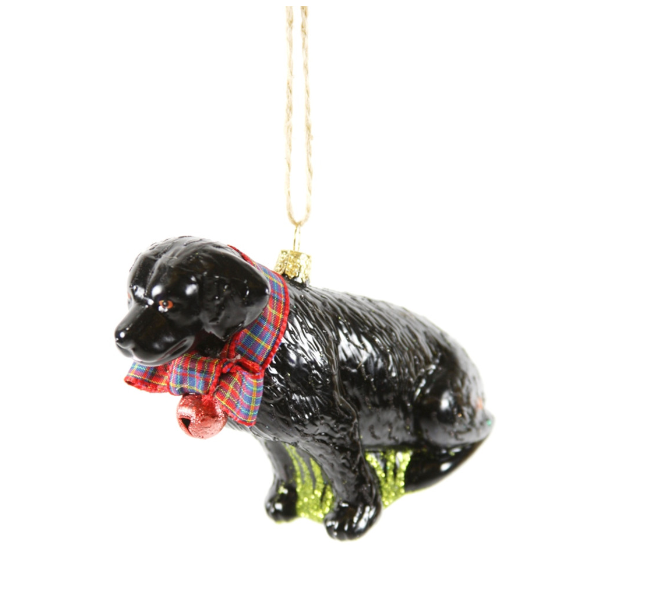 Festive Black Lab Ornament